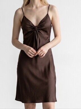 Perseption Chic Brown Dress